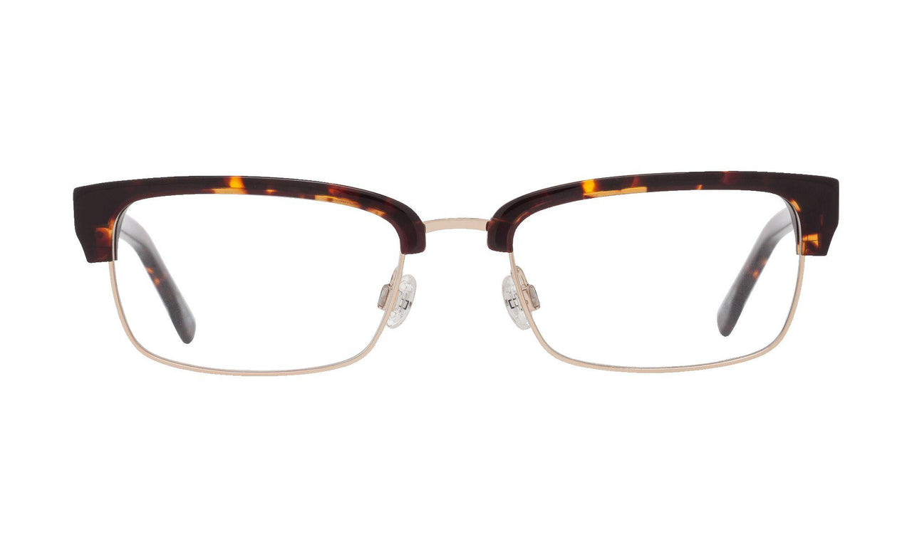 664000 - Dark Tort/gold