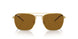 925083 - Gold - Dark Brown Polar