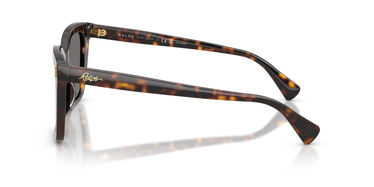 500381 - Tortoise - Polar Grey