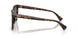 500381 - Tortoise - Polar Grey