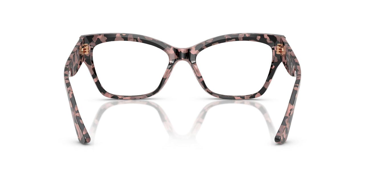 3150 - Tortoise