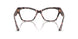 3150 - Tortoise