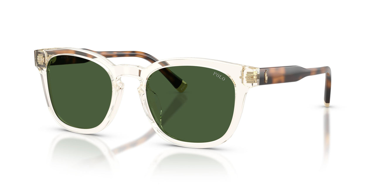 635771 - Yellow - Dark Green