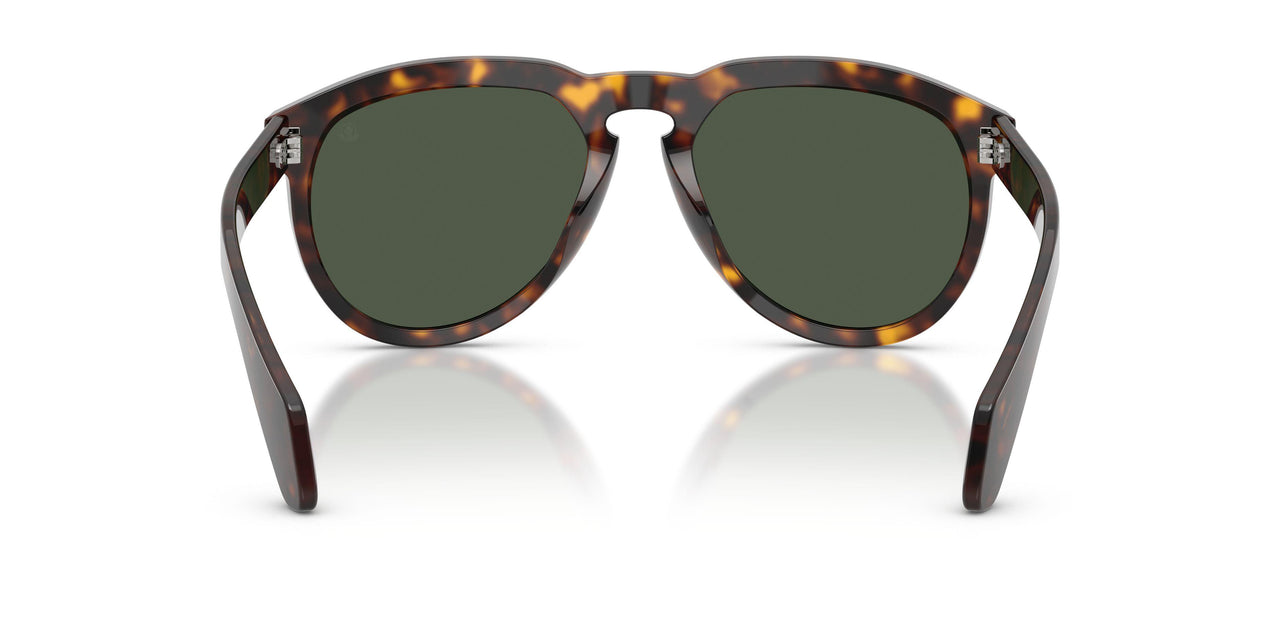 30029A - Tortoise - Dark Green Polar