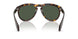 30029A - Tortoise - Dark Green Polar