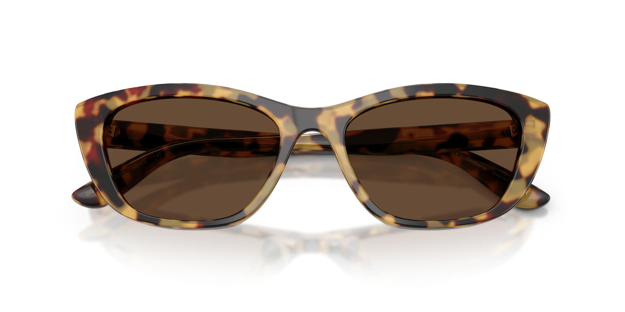 512/73 - Tortoise - Dark Brown