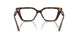 5026 - Tortoise