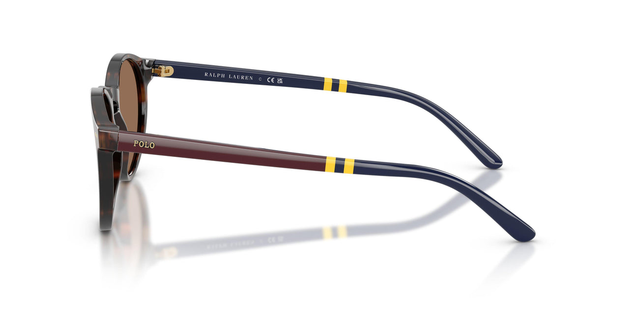 500373 - Tortoise - Brown