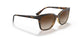 W65613 - Havana - Brown Gradient