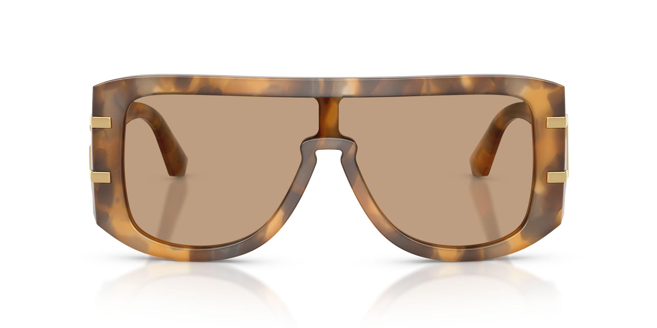 349663 - Tortoise - Light Brown
