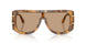 349663 - Tortoise - Light Brown