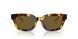 618173 - Tortoise - Dark Brown