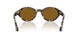 107133 - Tortoise - Brown