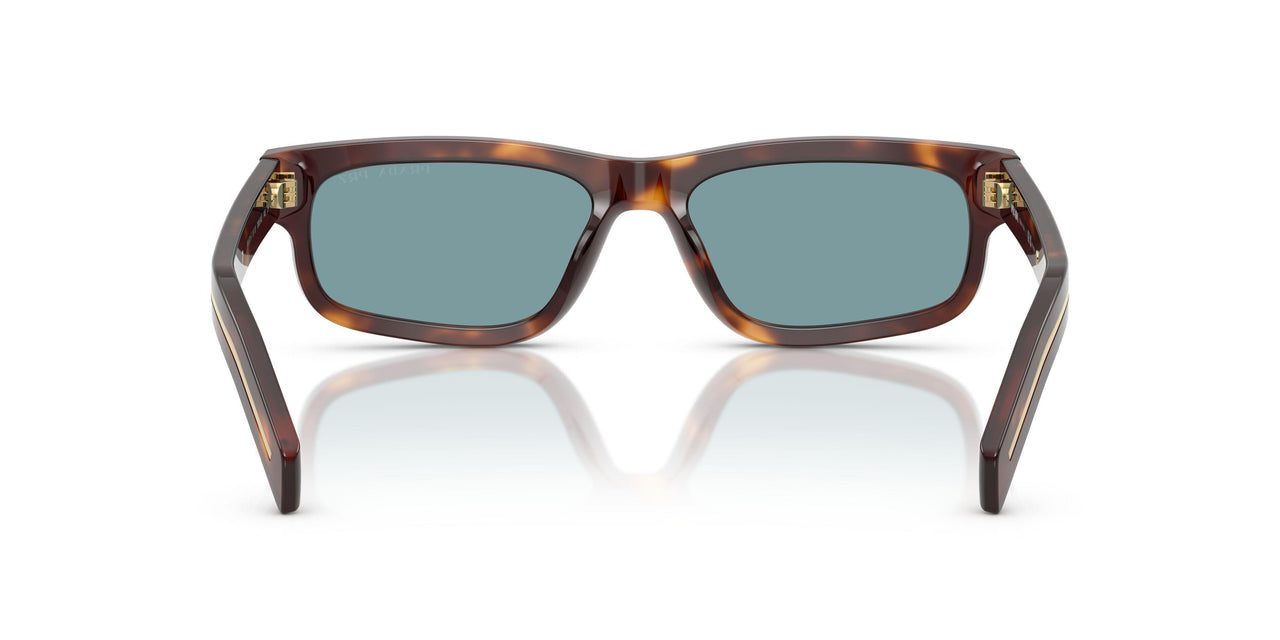 15W04D - Tortoise - Green Polar