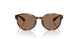 597473 - Tortoise - Dark Brown