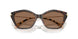 395173 - Tortoise - Brown Solid