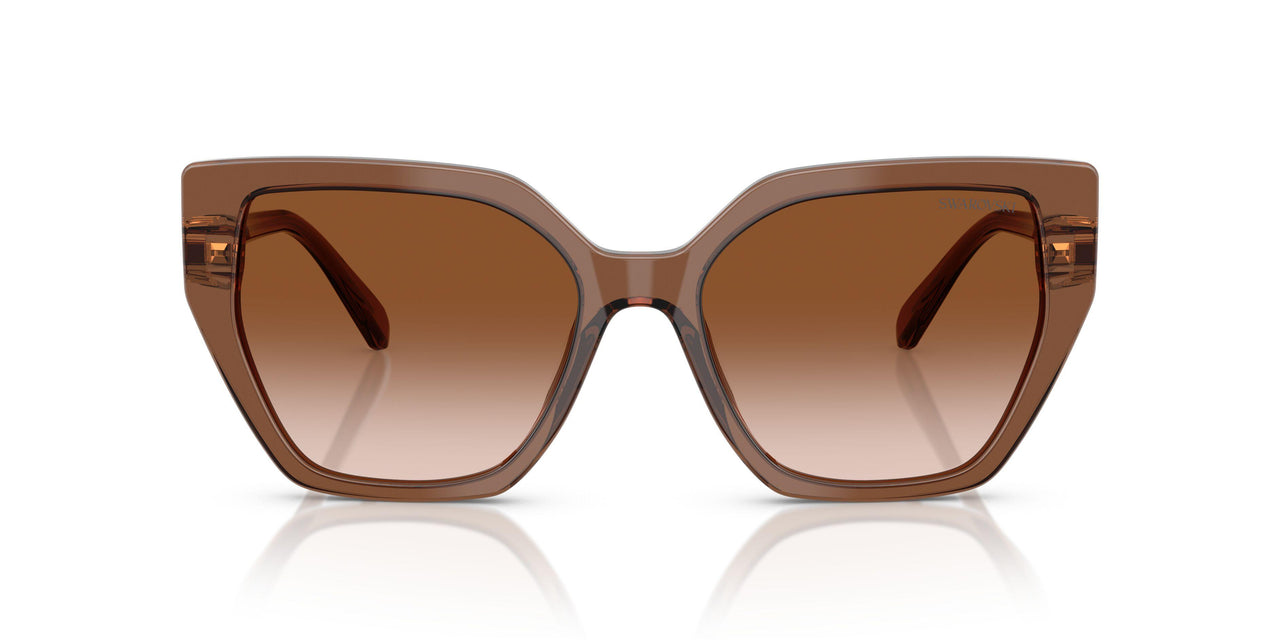 106713 - Brown - Gradient Brown