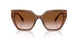 106713 - Brown - Gradient Brown