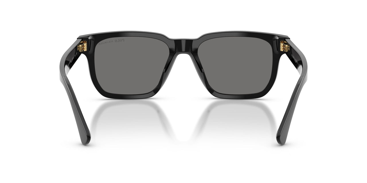 500181 - Black - Polarized Dark Grey