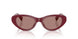 25R60B - Red - Light Brown