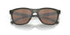 947309 - Green - Prizm Tungsten Polarized
