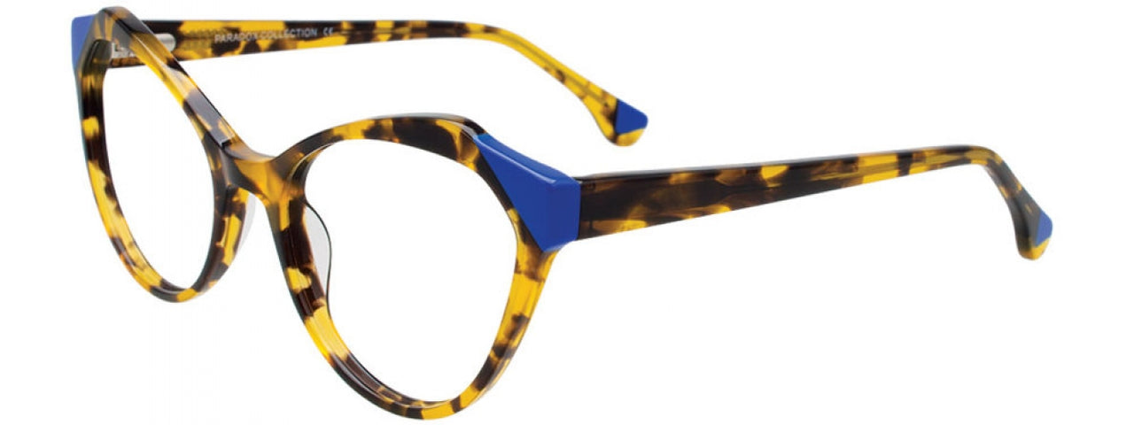 10 - Yellow Tortoise & Blue Trim