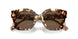 199573 - Tortoise - Dark Brown