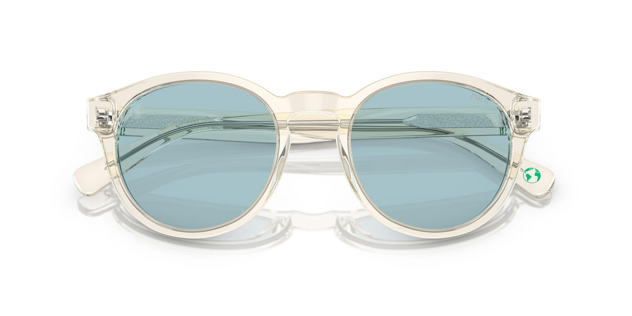 503480 - Grey - Light Azure