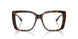5002 - Tortoise
