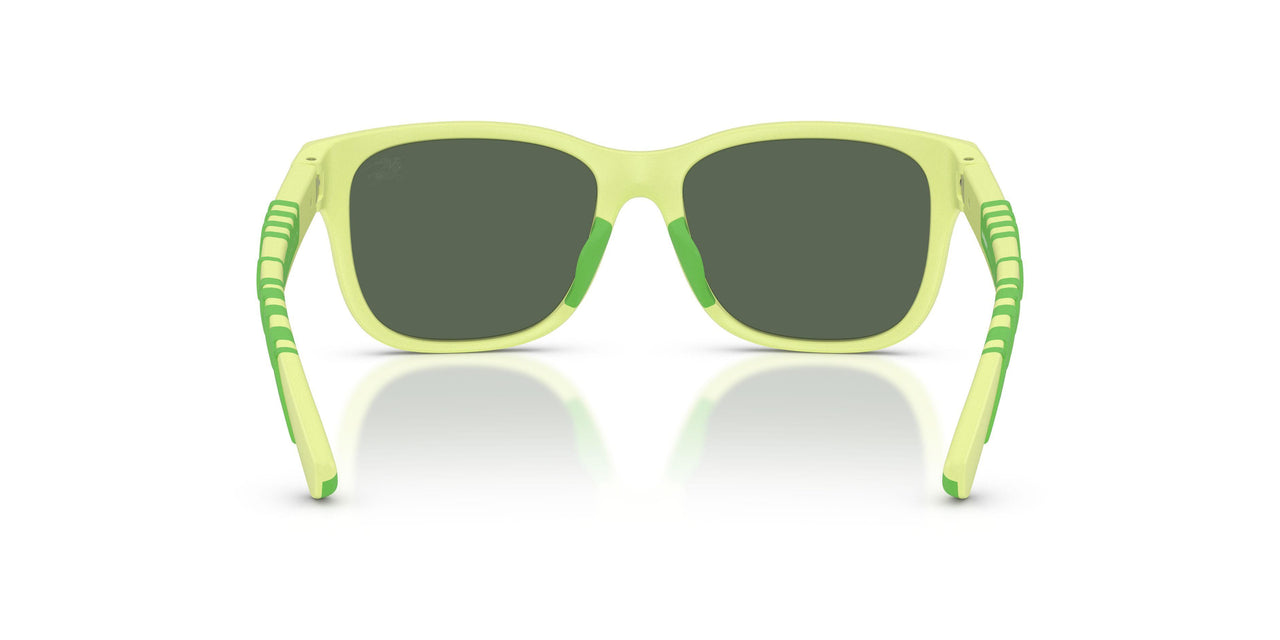 423771 - Green - Dark Green