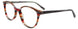 10 - Brown & Multicolor Stripes