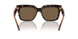 300273 - Brown - Dark Brown