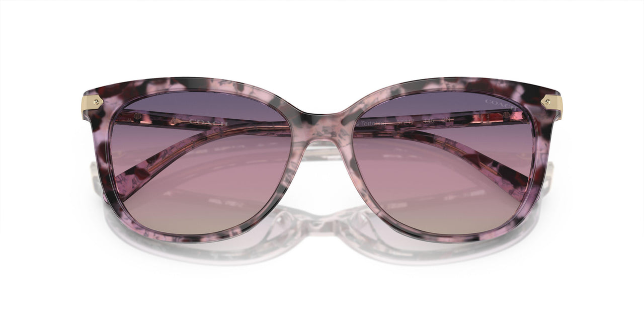 5777U6 - Violet - Purple Gradient