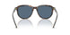 500380 - Tortoise - Dark Blue