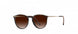 6130 - Havanna Walnut / Gold - SLM red brown gradient