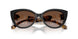 300513 - Black - Brown Gradient