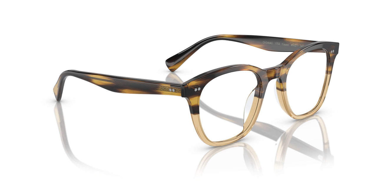 1703 - Brown
