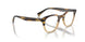 1703 - Brown