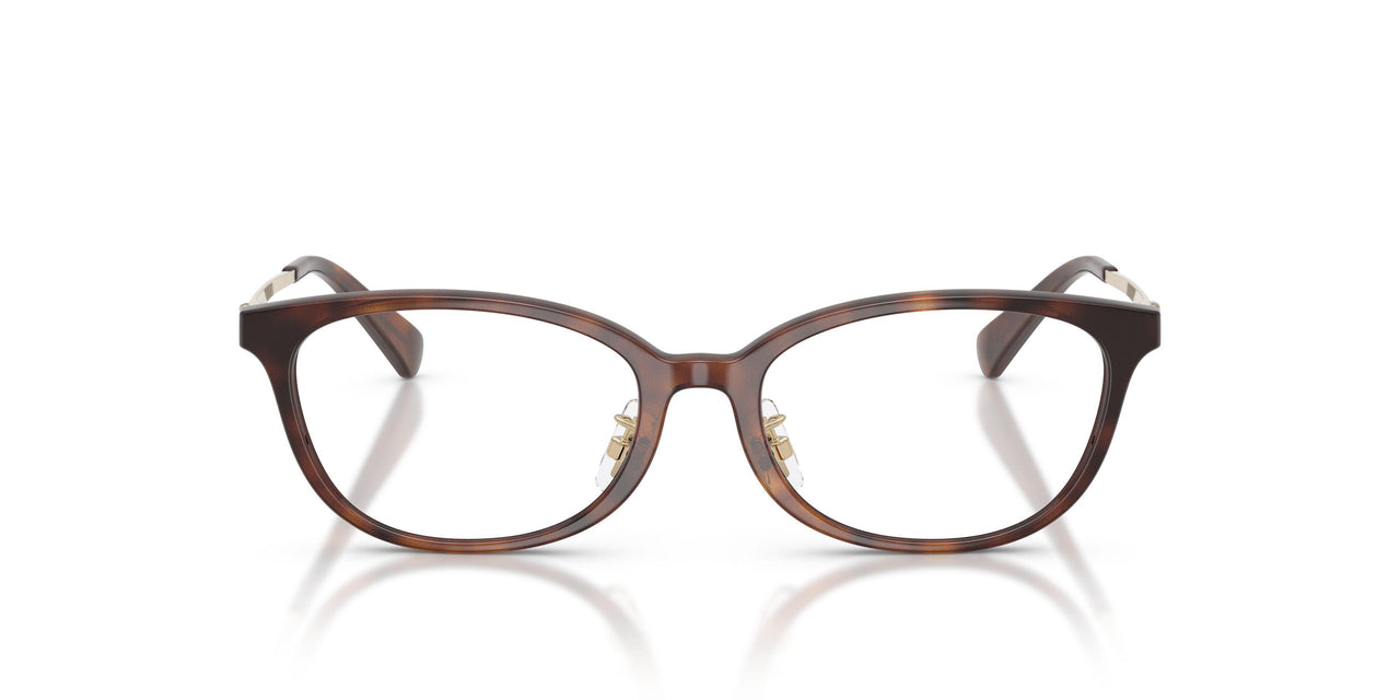 5120 - Tortoise