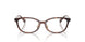 5120 - Tortoise