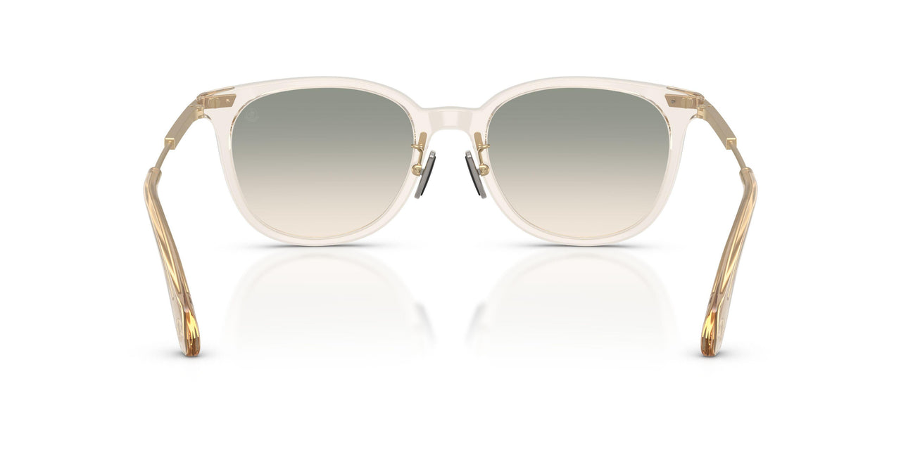 30032C - Brown - Gradient Brown