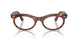 2144 - Brown - Clear