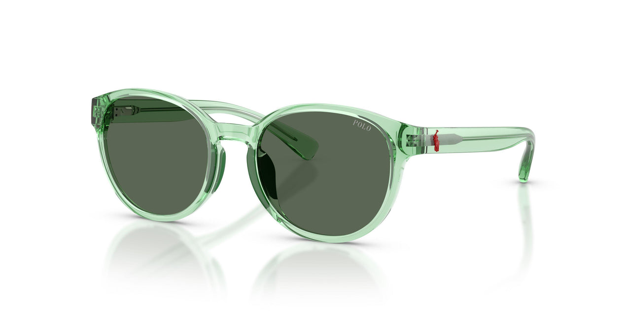 625071 - Green - Dark Green