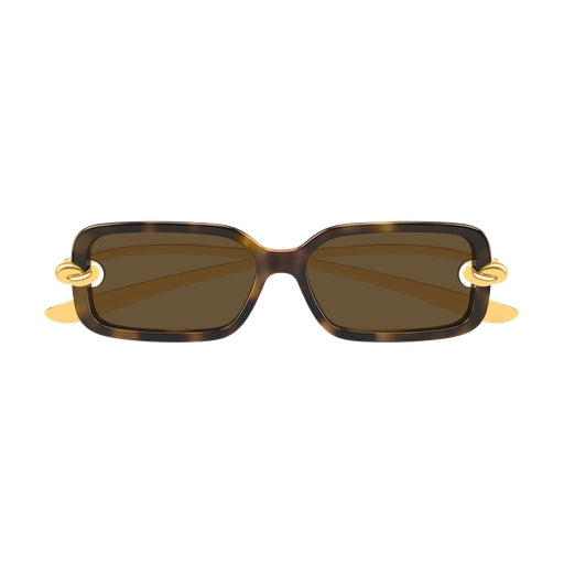 002 - Havana/Gold - Brown