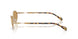 300273 - Gold - Brown