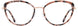 Cinzia CIN5173 Eyeglasses