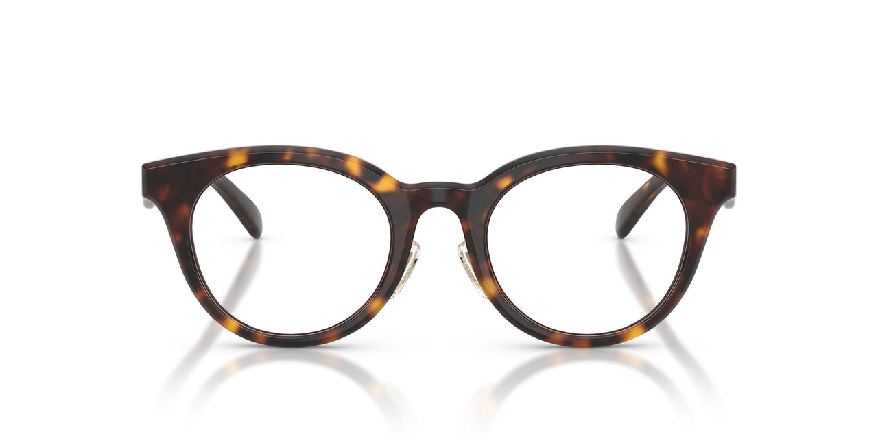 5120 - Tortoise