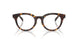 5120 - Tortoise