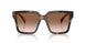 23A0A6 - Tortoise - Brown Gradient