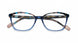 DBBE - Dark Blue Beige